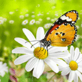 What is COB small spacing? Advantages and Applications of COB Small Pitch Display Screen